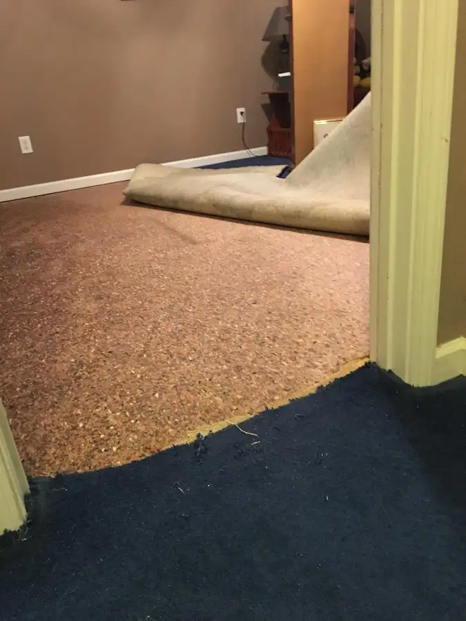 Carpet pad removal revealing water damage during Drying & Dehumidification in Bullhead City
